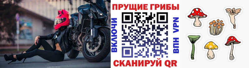 Галлюциногенные грибы прущие грибы  Новотроицк 