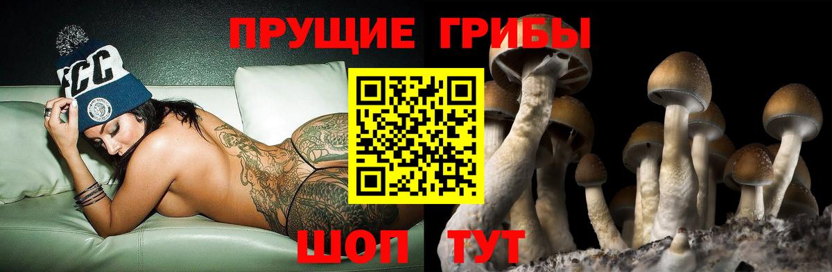 Псилоцибиновые грибы MAGIC MUSHROOMS Новотроицк