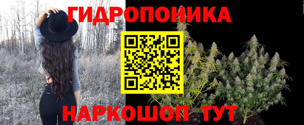 Канабис Bruce Banner Новотроицк